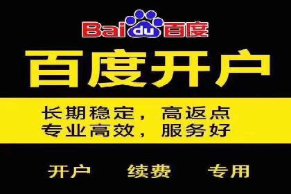探索百度竞价排名的奥秘：某企业的成功之路